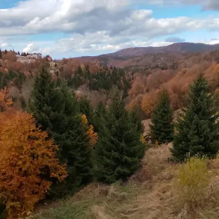 Glecer Kop A11 Free Parking Garage 아파트 *