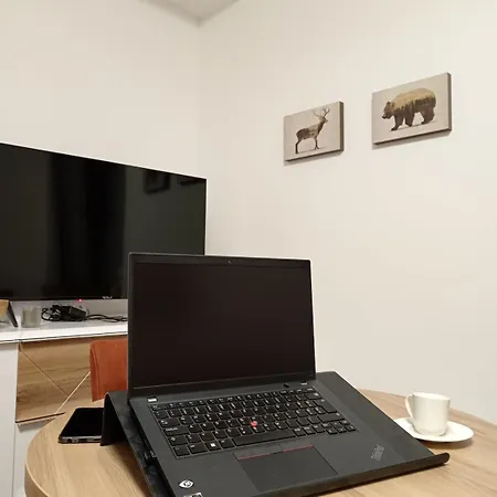 Glecer Kop A11 Free Parking Garage 아파트 *