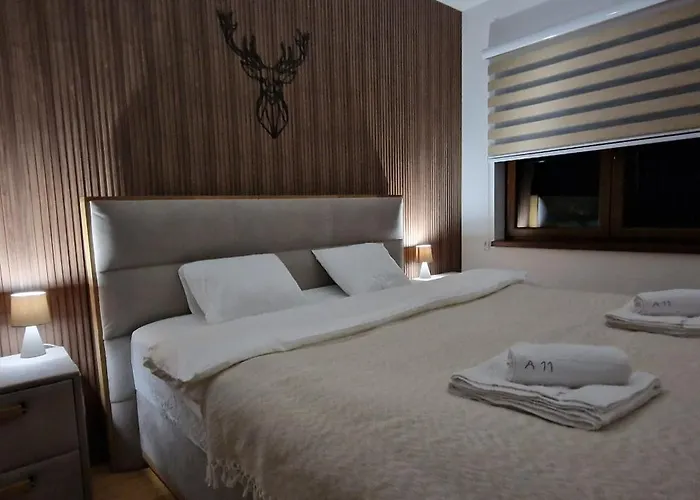 Glecer Kop A11 Free Parking Garage Kopaonik