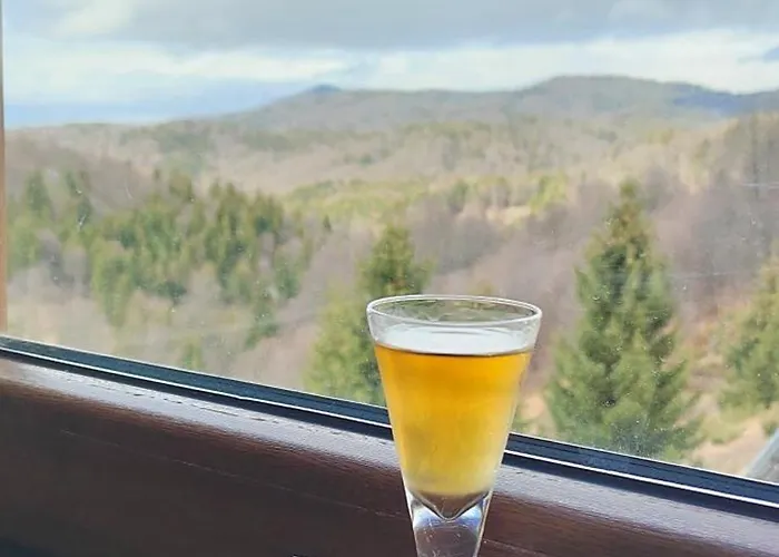 Glecer Kop A11 Free Parking Garage Apartament Kopaonik