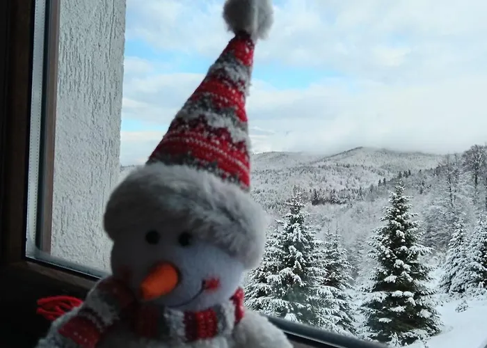 Glecer Kop A11 Free Parking Garage Kopaonik